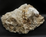 Wüstenjaspis